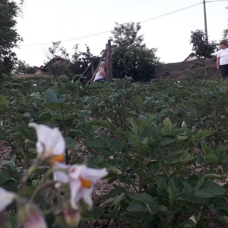 198005457-1193160927779527-3091653053735876595-n