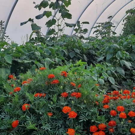 220209257-1219363591825927-7399417361481748346-n