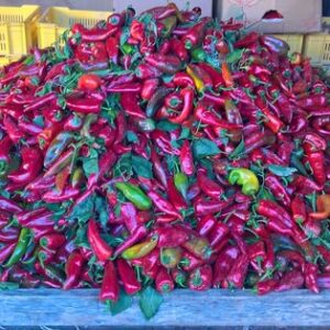 22770055-373702473058714-8901096218981952928-o