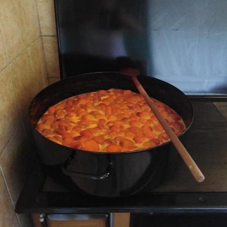 67209609-707520786343546-4652569481405530112-n