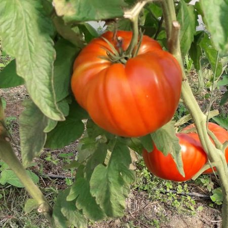 243025722-1264472683981684-5498154792073456648-n