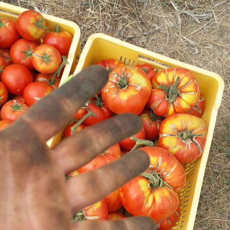 300069601-1485344928561124-4694404730387706040-n