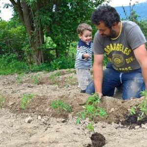 31945728-449776248784669-2074581014851616768-n-1